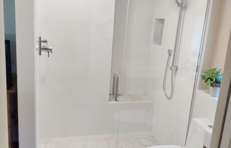 Master Bathroom Remodel with Walk-in Shower